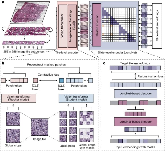 A whole-slide foundation model for digital pathology from real-world data